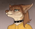  2021 anthro brown_body brown_fur brown_hair canid canine canis clothed clothing collar english_text fur hair hoodie looking_at_viewer mammal simple_background solo spiked_collar spikes text topwear wolf yshanii 