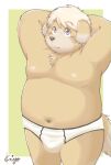  2021 anthro belly brown_body brown_fur bulge canid canine canis clothing domestic_dog fur hi_res kemono kiyo male mammal moobs navel nipples overweight overweight_anthro overweight_male solo underwear young 