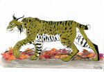  balls dragoness31 felid feline feral genitals lynx male mammal solo walking 