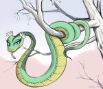  2021 blurred_background day detailed_background digital_media_(artwork) dreamworks evilymasterful female feral in_tree kung_fu_panda master_viper outside plant reptile scalie sky smile snake solo tongue tongue_out tree 