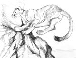  balls cougar dragoness31 felid feline feline_genitalia feral genitals jumping male mammal rock solo 