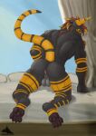  absurd_res anthro butt dobie-ace hi_res male male/male ratchet_lomu solo 