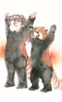  1girl :&lt; animal arms_up blush brown_background brown_eyes brown_hair closed_mouth commentary_request gomennasai hair_ornament long_sleeves looking_away original red_panda red_panda_costume red_panda_tail sleeves_past_wrists solo standing striped_tail tail 