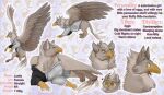  avian female feral gryphon h.i.a_dibujitos hybrid mythological_avian mythology solo 