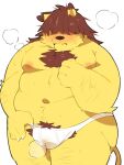  0119_muu 2021 ands anthro belly blush brown_body brown_fur bulge canid canine canis clothing domestic_dog fur kemono male mammal moobs navel nipples overweight overweight_anthro overweight_male simple_background solo underwear white_background 