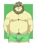  2021 anthro belly blush bulge clothing felid hi_res humanoid_hands lion male mammal maron2475 moobs navel nipples overweight overweight_anthro overweight_male pantherine simple_background solo underwear 