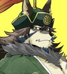  1boy animal_ears bara bare_pecs beige_fur brown_hair chest_hair close-up expressionless face facial_hair fang furry goatee green_headwear green_kimono hadanugi_dousa hair_between_eyes japanese_clothes kimono large_pectorals long_hair looking_at_viewer male_focus mature_male muscular muscular_male navel ohayashi55 portrait solo stomach temujin_(tokyo_houkago_summoners) tokyo_houkago_summoners wolf_boy wolf_ears 