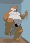  2021 anthro balls brown_body brown_fur canid canine canis censored domestic_dog fugashi4090 fur genitals hi_res humanoid_hands inside kemono male mammal overweight overweight_anthro overweight_male solo tongue tongue_out 