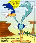  itomic looney_tunes roadrunner tagme 