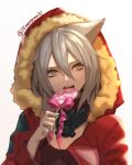  15melon 1girl animal_ears arknights black_shirt breasts candy cleavage closed_mouth commentary english_commentary eyelashes fangs food fur-trimmed_hood fur_trim gas_mask grey_hair hair_between_eyes highres holding holding_candy holding_food holding_lollipop hood hooded_jacket jacket light lollipop long_hair looking_to_the_side mask_around_neck medium_breasts open_clothes open_jacket pink_ribbon projekt_red_(arknights) red_jacket ribbon shirt silver_hair simple_background solo swirl_lollipop twitter_username upper_body wolf_ears yellow_eyes 