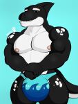  3:4 animal_humanoid anthro big_bulge bulge cetacean cetacean_humanoid clothing delphinoid digital_media_(artwork) hi_res humanoid looking_at_viewer male male/male mammal marine marine_humanoid muscular muscular_humanoid muscular_male nipples oceanic_dolphin orca orca_humanoid raptorart simple_background smile solo toothed_whale underwear 