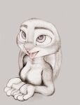  4_fingers anthro breasts buckteeth bust_portrait cupped_hands disney ears_down female fingers fuchs grey_background hi_res judy_hopps lagomorph leporid mammal nude open_mouth pivoted_ears portrait purple_eyes rabbit simple_background solo spot_color teeth three-quarter_view tongue tongue_out traditional_media_(artwork) zootopia 