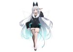  animal_ears aqua_eyes blush cat_smile computer dress garter gray_hair hoodie huion logo long_hair muryou original see_through techgirl thighhighs white zettai_ryouiki 