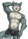  abs anthro beastars biceps blush bulge canid canine canis clothed clothing kumak71395 legoshi_(beastars) male mammal muscular muscular_anthro muscular_male pecs solo topless wolf 