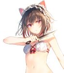  1girl animal_ear_fluff animal_ears arm_up bare_arms bare_shoulders blush bra breasts brown_hair cat_day cat_ears closed_mouth commentary_request dagger eyebrows_visible_through_hair eyes_visible_through_hair glint gradient_hair hair_between_eyes highres holding holding_dagger holding_weapon looking_at_viewer maid maid_headdress multicolored_hair navel red_eyes seiken_gakuin_no_maken_tsukai short_hair simple_background small_breasts solo stomach toosaka_asagi underwear underwear_only upper_body v-shaped_eyebrows weapon white_background white_bra 