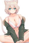  1girl :&lt; animal_ear_fluff animal_ears aqua_eyes bare_shoulders blonde_hair blush bra breasts cat_ears cat_girl cat_tail cleavage closed_mouth collarbone commentary_request feet_out_of_frame forneus_0 fur-trimmed_jacket fur_trim green_jacket highres jacket large_breasts long_sleeves looking_at_viewer navel off_shoulder open_clothes open_jacket original panties pink_bra pink_panties short_hair simple_background sitting sleeves_past_wrists solo tail underwear white_background 