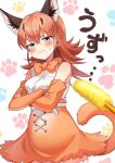 1girl bare_shoulders belt black_hair blue_eyes blush bow bowtie caracal_(kemono_friends) caracal_ears caracal_girl caracal_tail cat_day cat_teaser commentary_request cowboy_shot crossed_arms elbow_gloves extra_ears eyebrows_visible_through_hair gloves high-waist_skirt highres kamuraaa_615 kemono_friends orange_hair shirt sidelocks skirt sleeveless solo sweatdrop translated white_shirt 