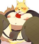  0119_muu 2021 anthro balls belly blush canid canine clothing flaccid fox fur genitals kemono male mammal moobs navel nipples overweight overweight_male penis simple_background sitting solo underwear white_background yellow_body yellow_fur 