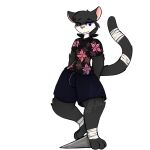  ambiguous_gender bottomwear clothed clothing domestic_cat felid feline felis hi_res krorenshima mammal shirt shorts topwear 