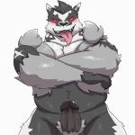  2021 animated anthro balls black_body black_fur black_nose blush erection fur genitals grey_body grey_fur humanoid_genitalia humanoid_penis kemono male male_focus male_presenting nintendo obstagoon overweight overweight_male penis pok&eacute;mon pok&eacute;mon_(species) simple_background solo solo_focus tongue tongue_out v2wolf video_games white_background white_body white_fur 