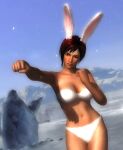  1girl absurdres animal_ears breasts brown_eyes bunny_ears clenched_hands dead_or_alive eyebrows_visible_through_hair highres iceberg mila_(doa) navel one_eye_closed punching red_hair red_lips smile thick_thighs thighs underwear victory_pose winter 