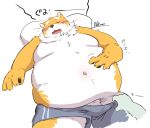  2021 anthro belly blush canid canine canis clothing domestic_dog eyes_closed fur genitals kemono male mammal navel obese obese_male overweight overweight_male penis pukkunnnn sleeping solo_focus underwear undressing white_body white_fur 