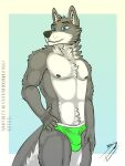  3:4 absurd_res anthro bulge canid canine canis clothed clothing drekkorwolfsoul hi_res male mammal nipples partially_clothed solo speedo swimwear wolf 
