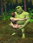  2019 3d_(artwork) balls digital_media_(artwork) dreamworks duo female fiona_(shrek) genitals hair human humanoid interspecies male male/female mammal nude ogre penetration sex shrek_(character) shrek_(series) unknown_artist 