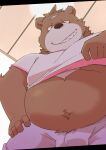  2021 absurd_res anthro brown_body brown_fur brown_nose bulge clothing fur green_bell hi_res humanoid_hands kemono male mammal overweight overweight_male shirt solo topwear underwear ursid 