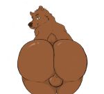  anthro balls brown_bear brown_body brown_fur bubble_butt butt fur genitals grizzly_bear gypsy_king_(artist) hi_res looking_back male mammal nude simple_background slightly_chubby smiling_at_viewer solo thick_thighs ursid ursine 