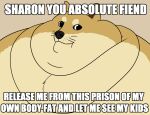 2019 ambiguous_gender black_nose canid canine canis chest_tuft chubby_cheeks dewlap_(anatomy) digital_drawing_(artwork) digital_media_(artwork) doge domestic_dog double_chin english_text feral fur looking_at_viewer mammal meme morbidly_obese obese overweight portrait shiba_inu simple_background solo spicy_wahtte spitz text tuft 