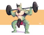 2020 abs anthro armpit_hair barbell big_penis body_hair chest_hair clothing exercise flaccid genitals hair hi_res lagomorph leporid makowolf1 male mammal muscular muscular_anthro muscular_male nipples pecs penis pubes rabbit simple_background solo squats thick_penis underwear underwear_down weightlifting workout 
