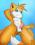  2_tails absurd_res anthro balls canid canine fox genitals hi_res looking_at_viewer low-angle_view male mammal mdgusty miles_prower multi_tail nude penis solo sonic_the_hedgehog_(series) 