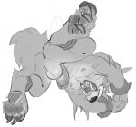 anthro anus ball biceps blindfold blush butt canid canine canis captured dangpa genitals hi_res humanoid low-angle_view lying male mammal muscular muscular_male nipples on_front open_mouth pecs penis presenting presenting_anus shackles simple_background solo warwick_(lol) wolf 