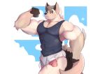  2020 anthro biceps bodily_fluids bottomwear canid canine canis clothing exercise genitals hi_res looking_at_viewer makowolf1 male mammal muscular muscular_anthro muscular_male outside penis poking_out running shirt shorts solo sweat tank_top topwear wolf workout 