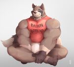  2020 anthro bottomwear bulge clothing crossed_legs english_text hi_res looking_at_viewer makowolf1 male mammal muscular muscular_anthro muscular_male one_eye_closed procyonid raccoon shirt shorts simple_background sitting solo tank_top text text_on_clothing text_on_tank_top text_on_topwear topwear white_background wink 