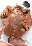  after_sex anal anthro balls barrel_(live-a-hero) bed bodily_fluids canid canine canis cum cum_in_ass cum_inside duo erection furniture genghis_khan_(pixiv) genital_fluids genitals live-a-hero male male/male mammal muscular muscular_anthro muscular_male sex wolf 