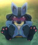  2021 blue_body blue_fur blush bodily_fluids dagasi embarrassed fur grass hi_res lucario nintendo pawpads plant pok&eacute;mon pok&eacute;mon_(species) portal portal_ring sweat tears video_games 