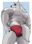  anthro big_butt butt canid canine canis clothing fluffy fluffy_tail hi_res looking_back male mammal muscular muscular_anthro muscular_male naikuma solo speedo swimwear thick_thighs wolf 