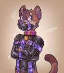  anthro bdsm belt bondage bound collar gag gagged hi_res kiwyne leather male mammal mustela mustelid musteline muzzle_(disambiguation) solo straitjacket 