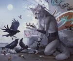  4_toes 5_fingers aleksandr_(suave_senpai) avian bird black_body black_feathers canid canine canis day detailed_background digital_media_(artwork) feathered_wings feathers feet fingers fur grey_body grey_fur mammal moon open_mouth orphensirius outside sky smile teeth toes tongue wings wolf 