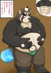  2021 absurd_res anthro belly blush brown_body brown_fur bulge canid canine clothing fur hi_res humanoid_hands iyhuh7vxmhdc9ht japanese_text kemono live-a-hero male mammal moobs nipples overweight overweight_anthro overweight_male raccoon_dog shoen solo tanuki text translation_request underwear video_games 