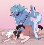  &lt;3 anthro ass_up blush bodily_fluids brand_new_animal canid canine canis circumcised collar cum cum_string duo fire_emblem from_behind_position genital_fluids genitals hi_res humanoid humanoid_genitalia humanoid_on_anthro humanoid_penis keaton_(fire_emblem) kyrosh leash leash_pull male male/male mammal mane naughty_face nintendo nipples penis saliva sex shirou_ogami sound_effects studio_trigger tongue tongue_out video_games wolf 