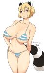  1girl animal_ears araiguma-san bikini blonde_hair breasts hand_on_hip large_breasts long_hair looking_at_viewer navel original raccoon_ears raccoon_tail red_eyes short_hair solo striped striped_bikini swimsuit tail tsukudani_(coke-buta) 