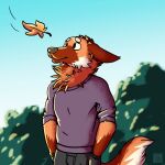  1:1 2016 anthro autumn black_bottomwear black_clothing black_eyes black_nose black_pants bottomwear brown_body brown_fur canid canine canis clothed clothing day distracted ears_down fluffy fur hands_in_pockets hi_res leaf looking_at_object male mammal maned_wolf multicolored_body multicolored_fur neck_tuft orange_body orange_fur outside pants pivoted_ears plant pockets purple_clothing purple_shirt purple_topwear raised_tail shirt sky smile solo topwear tree tuft white_body white_fur yookie yookie_(character) 