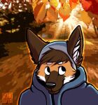  2016 anthro autumn beanie black_eyes black_nose brown_body brown_fur canid canine canis clothed clothing coat day detailed_background fur hair hat headgear headshot_portrait headwear hi_res inner_ear_fluff leaf looking_aside male mammal maned_wolf orange_body orange_fur outside plant portrait smile solo topwear tree tuft white_body white_fur yookie yookie_(character) 