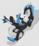  3_toes anus balls black_body black_fur blue_body blue_eyes blue_fur blue_mane blue_markings blue_pawpads blue_tongue bodily_fluids butt claws cum digitigrade dragon eclipse_dragon ejaculation feet feral fur furred_dragon genital_fluids genitals hand_on_penis hi_res horn knot looking_at_viewer lying male mane markings masturbation multicolored_body multicolored_fur on_back outside pawpads penile penile_masturbation penis presenting ribbed_penis solo toes tongue two_tone_body two_tone_fur unknown_artist white_body white_fur 