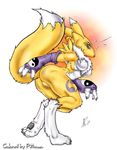  digimon digimon_tamers furry pittman renamon 