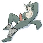  2021 abs anthro armpit_hair balls beastars belt body_hair bottomwear canid canine canis claws clothed clothing erection finger_claws fur genitals grey_body grey_fur hand_behind_head hi_res jrjresq legoshi_(beastars) male mammal muscular muscular_anthro muscular_male nipples pants pants_down partially_clothed pecs penis reclining scar simple_background solo toe_claws underwear underwear_down undressing vein veiny_penis white_background wolf 