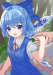  1girl 1other :d bangs blue_bow blue_dress blue_eyes blue_hair bow breasts brick_road bush cirno commentary_request dress eyebrows_visible_through_hair fingernails from_above hair_bow hand_up highres holding_hands ice ice_wings imoutochiru light_blush looking_at_viewer open_mouth outdoors pinafore_dress pov pov_hands puffy_short_sleeves puffy_sleeves red_neckwear red_ribbon ribbon short_hair short_sleeves small_breasts smile solo_focus touhou tree upper_body wings 